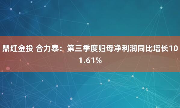 鼎红金投 合力泰：第三季度归母净利润同比增长101.61%