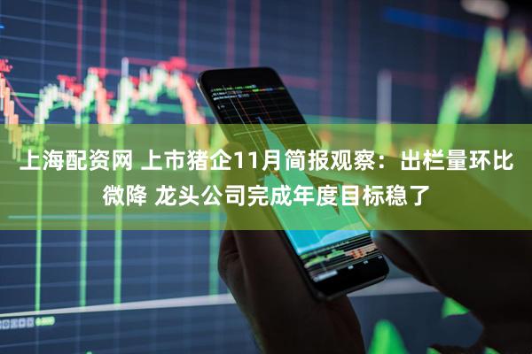 上海配资网 上市猪企11月简报观察：出栏量环比微降 龙头公司完成年度目标稳了