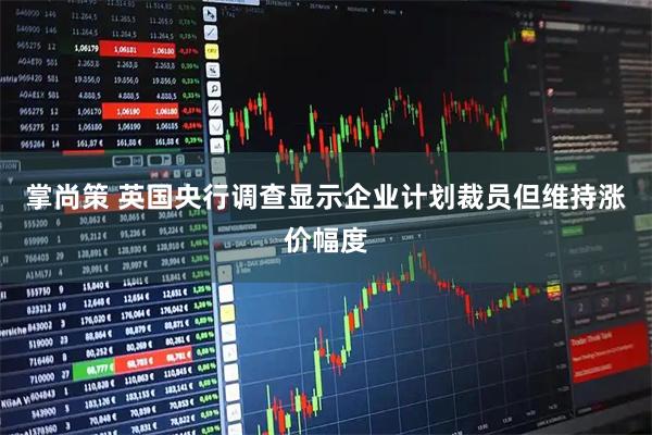 掌尚策 英国央行调查显示企业计划裁员但维持涨价幅度